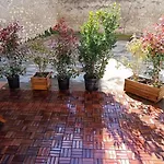 Superbe T2 avec grande terrasse en centre ville à 5 min à pieds des Arènes de Nîmes
